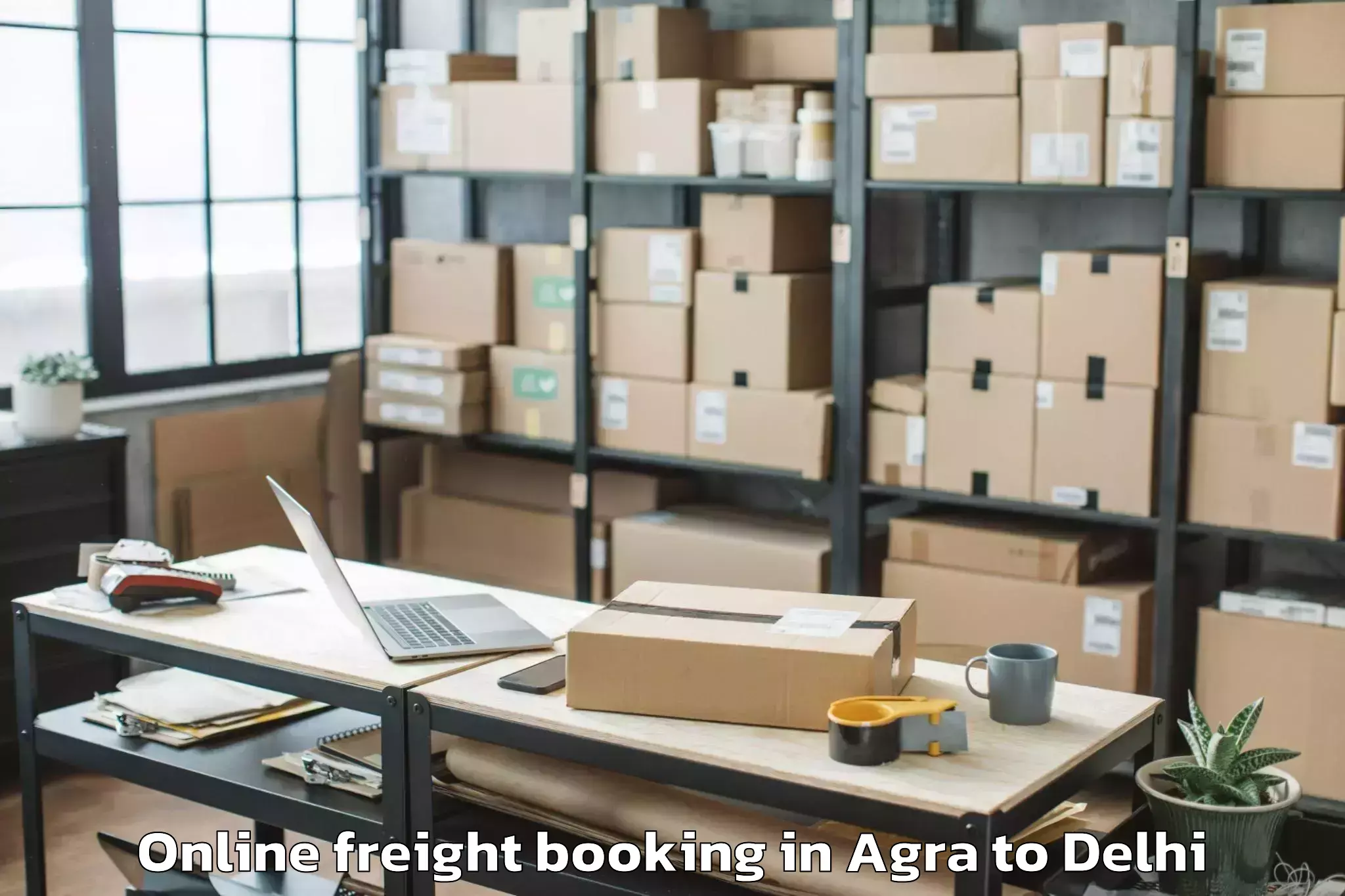 Professional Agra to Unity One Mall Cbd Shahdara Online Freight Booking